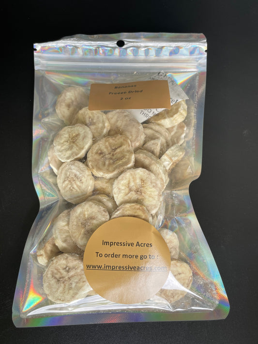 Freeze Dried Organic Bananas 2 OZ